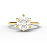 "Entwined" 6-Claw Branches Ring - 1.0ct Round