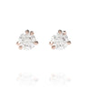 "Elm" - 5mm Diamond Studs