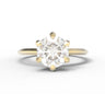 "Entwined" 6-Claw Branches Ring - 1.0ct Round